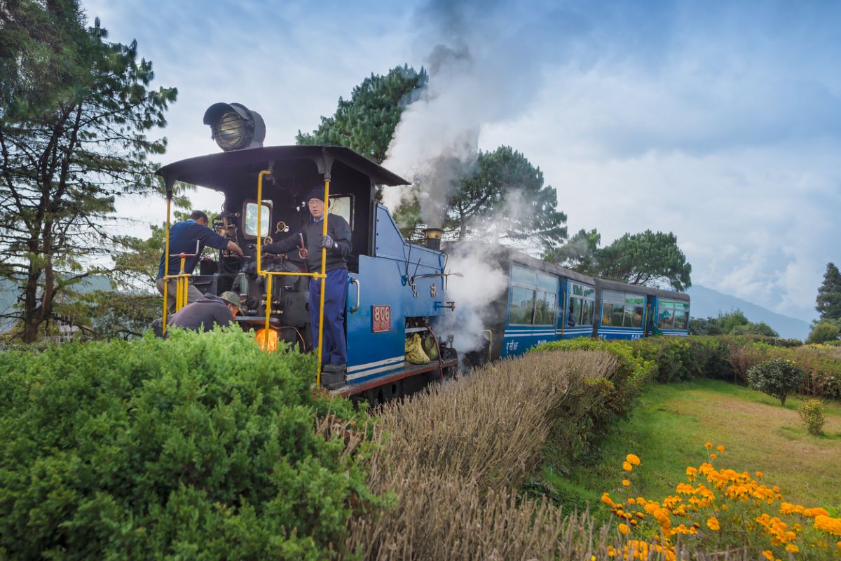 Toy Train’s Jungle Tea Safari picks up steam