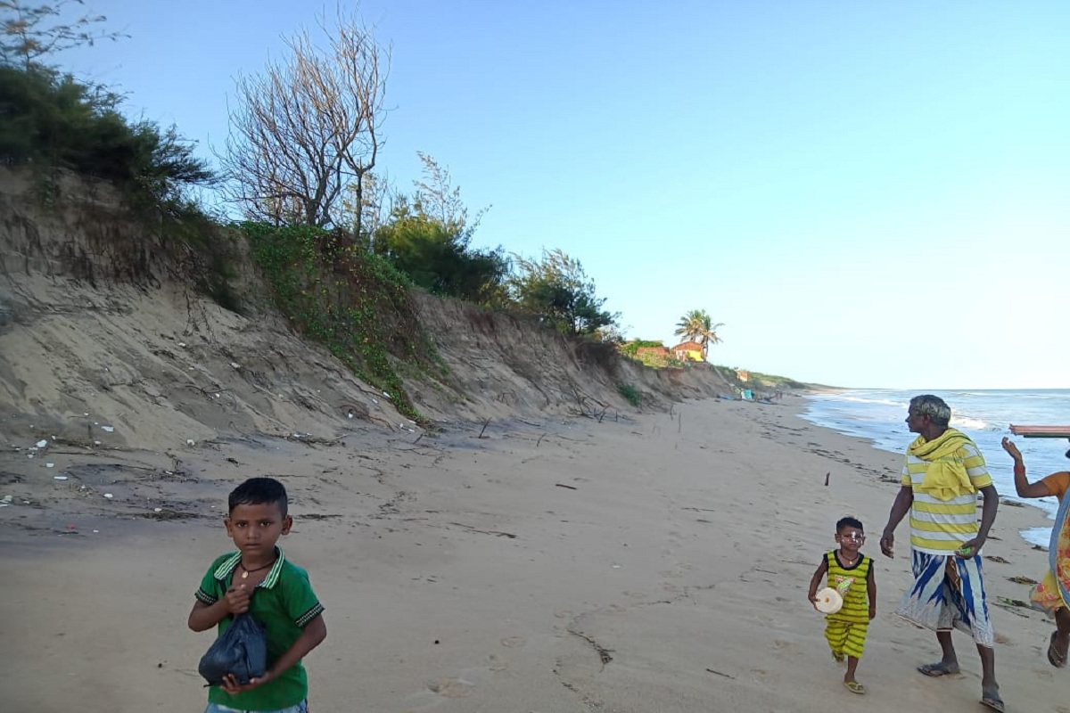 Odisha, turtle nesting
