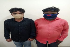 Odisha STF busts pangolin smuggling racket