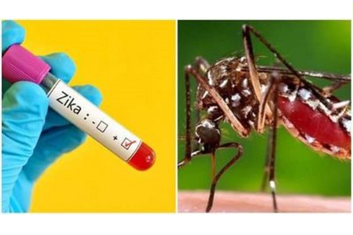 3 more cases of Zika virus found in Kanpur