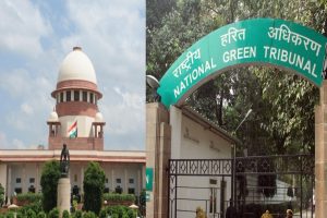 NGT can take suo motu cognisance of environmental issues, rules SC