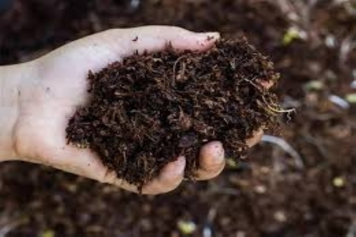 After ban on Chinese organic fertiliser, Sri Lanka turns to India