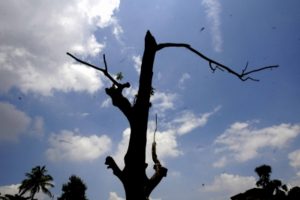 Delhi-NCR wakes up to clear weather; min temperature may dip to 19 degree C
