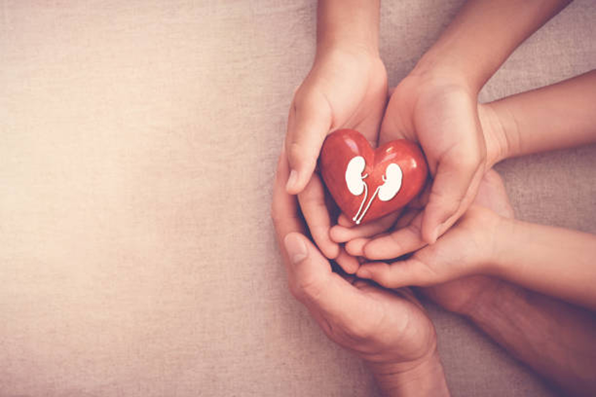 Health experts underscore the need to encourage organ donation