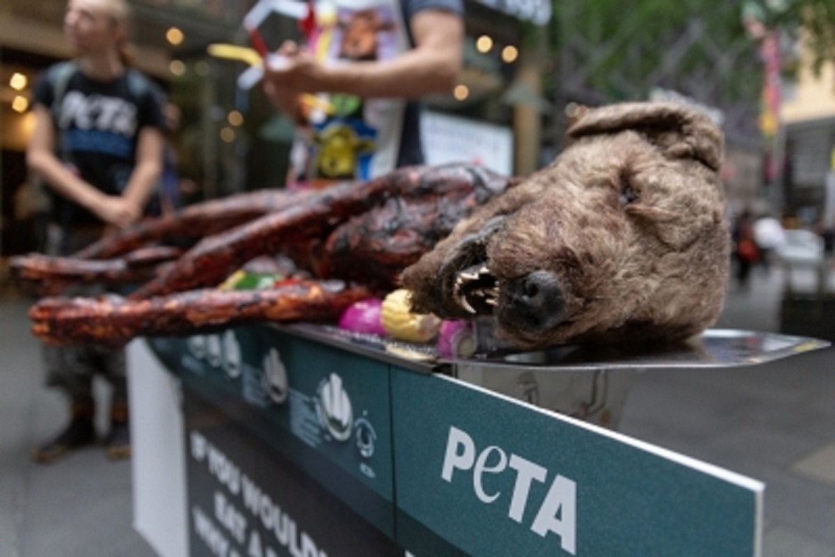 PETA to ‘barbecue’ dog to create awareness
