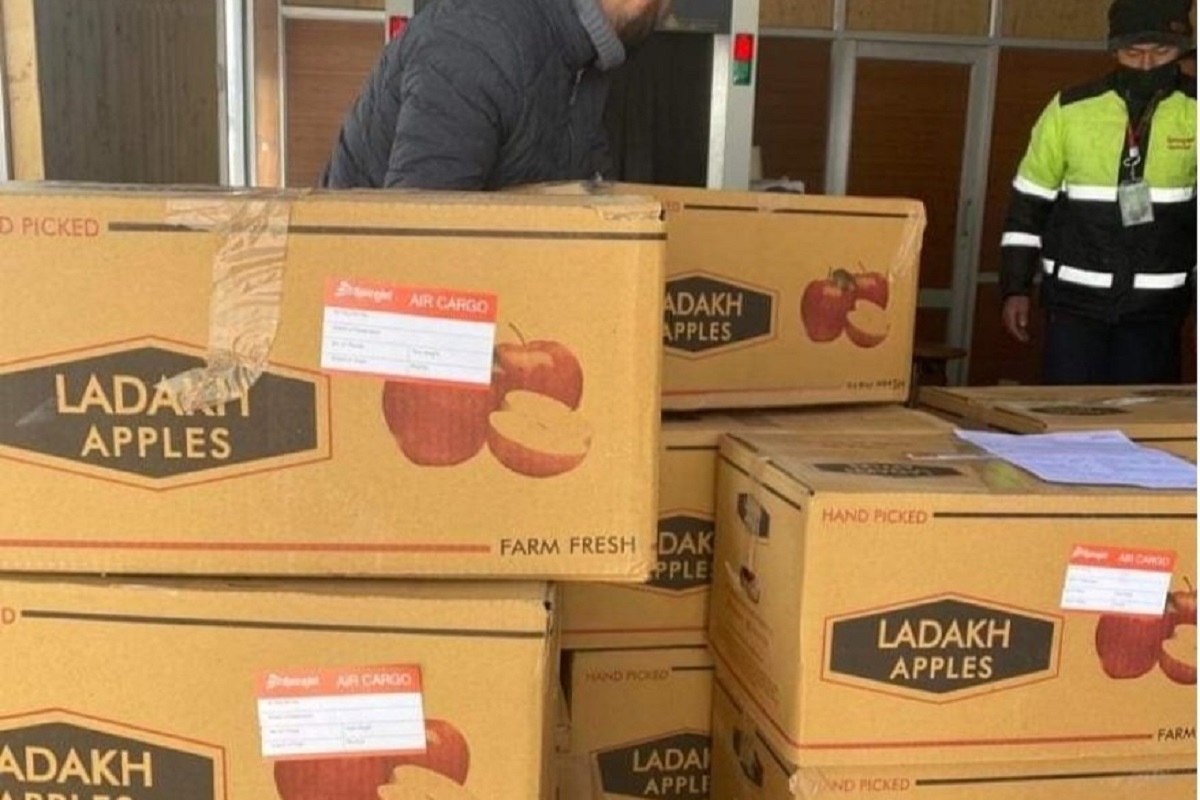 Modi bats for Ladakhi apple