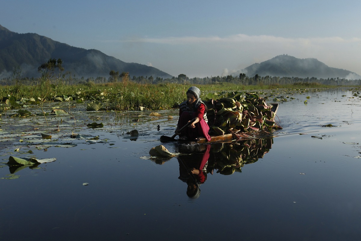 Wastelands of Kashmir