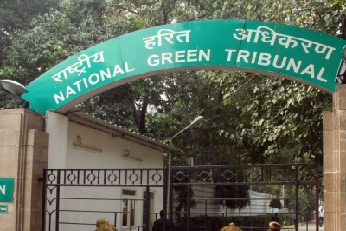 Illegal sand mining, a theft of govt. revenue and an offence: NGT