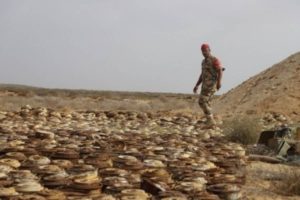 Landmine blast kills 3 in Yemen: Official