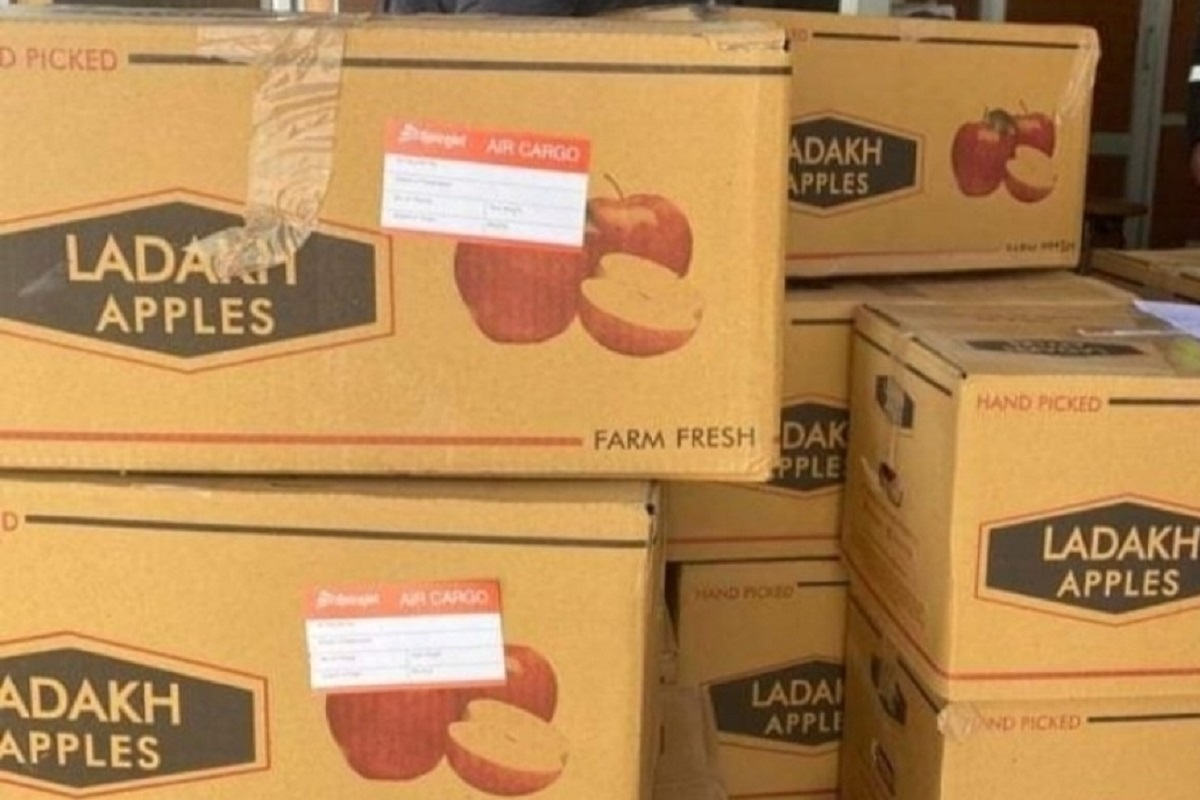 Another consignment of organic apples dispatched to ten states
