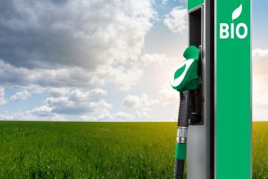 US biofuel quest behind food shortage