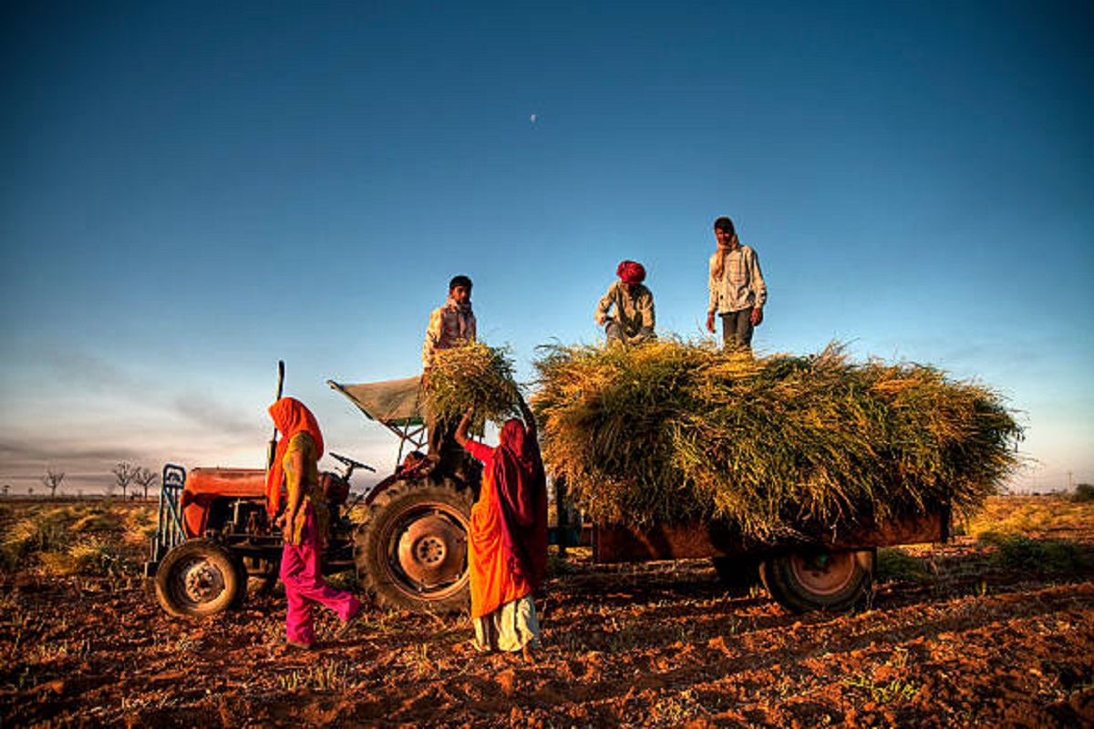 Niti Aayog workshop on innovative agriculture says it is time to promote natural farming