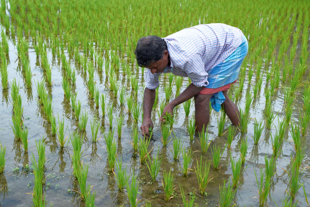50% of rural development funds in Bengal remain unspent