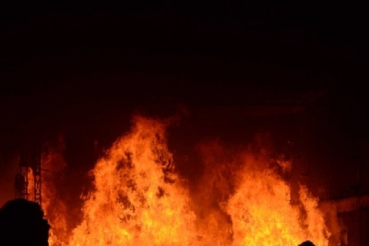 Bharatpur seer succumbs to burn injuries following immolation bid