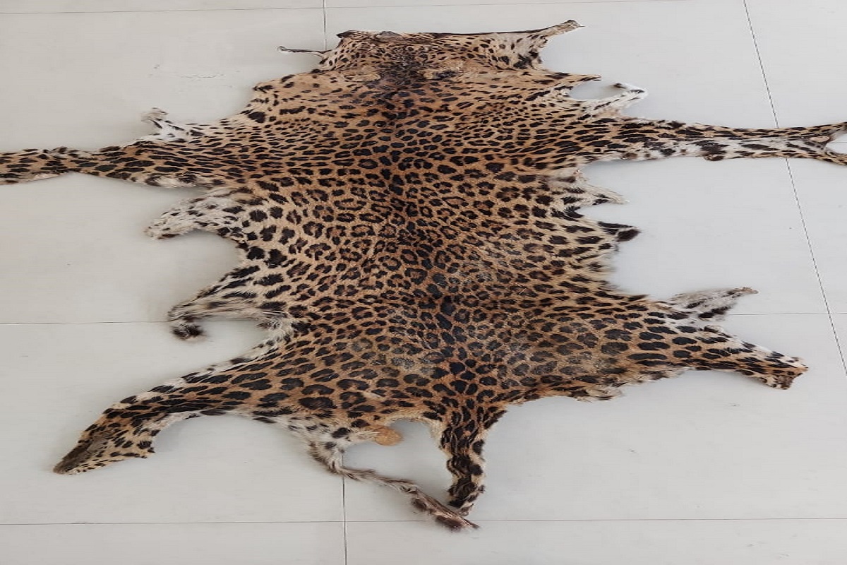 SDJM, Khordha, leopard skin smugglers