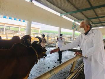 Animal Husbandary Minister flies to Pune to meets India’s ‘Vicky Donor’ Cows