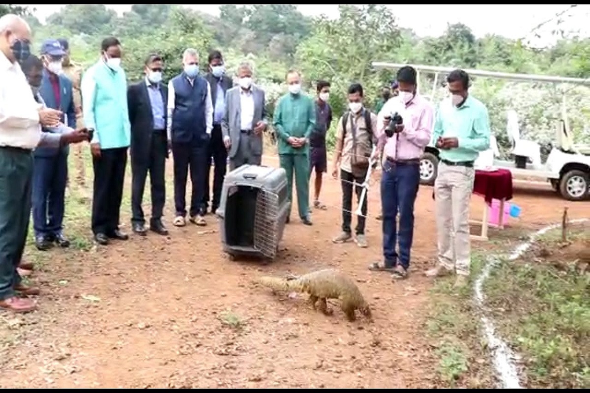 In a first in Odisha, Nandankanan Zoo radio-tags rescued pangolin