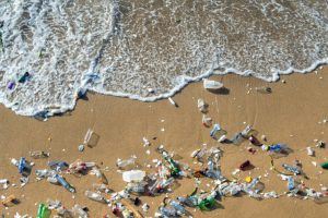 In areas with heavy plastic pollution, more microbes can degrade plastics