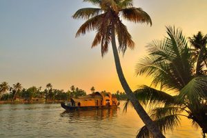 Is Kayaking in the backwaters of Alleppey on your bucket list?