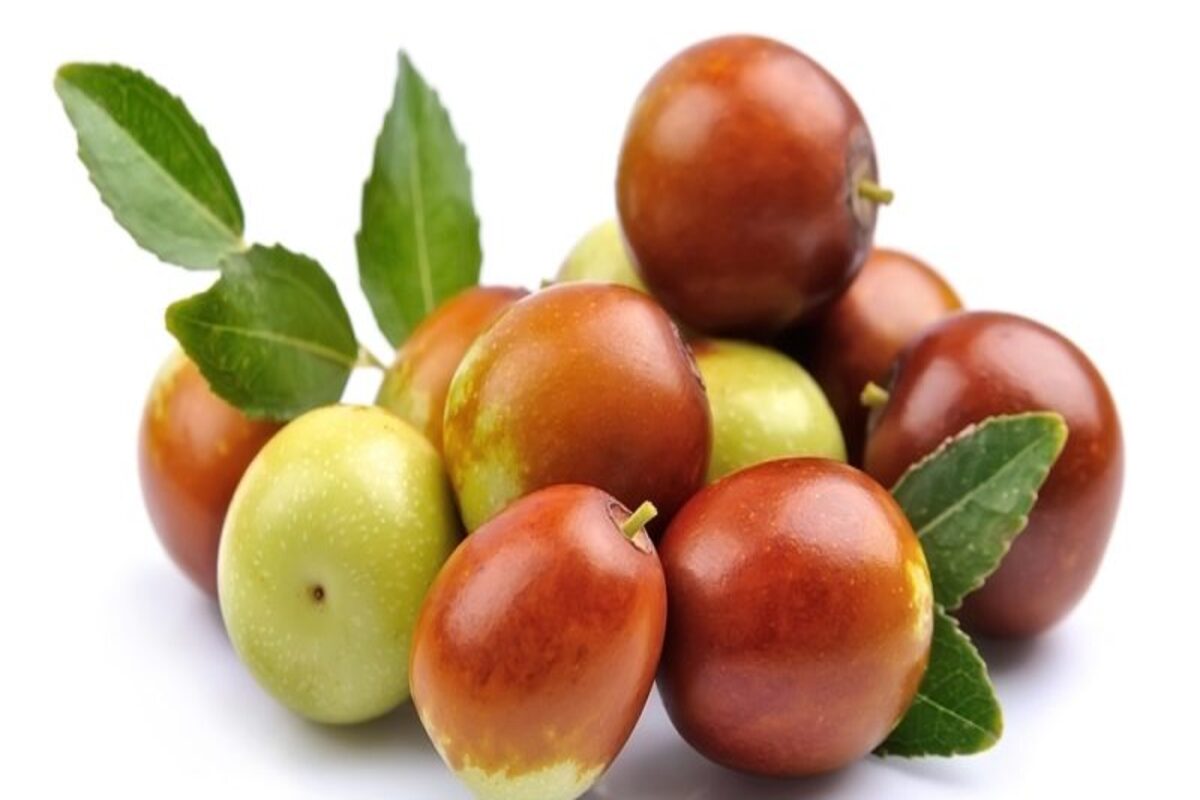 Incredible health benefits of Ber (Jujube)