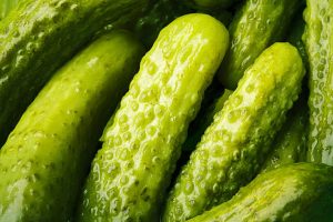 India emerges as the world’s largest exporter of cucumber & gherkins