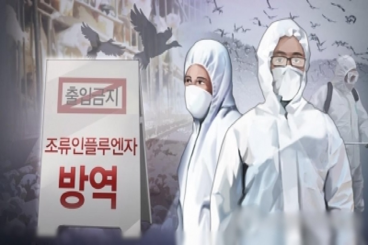 South Korea, bird flu