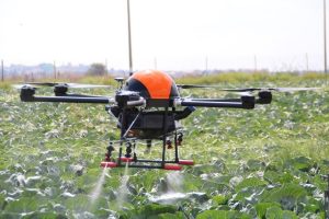 Govt. promoting use of ‘Kisan Drone’ for crop assessment: Tomar