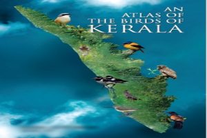 Over 1,000 volunteers contribute for ‘unique’ Kerala Bird Atlas