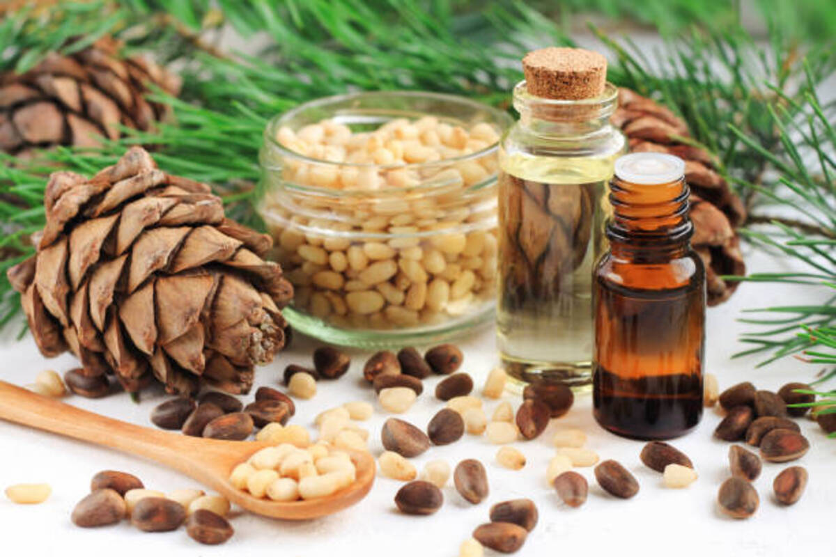 Why you must add Cedarwood essential oil to your skincare 