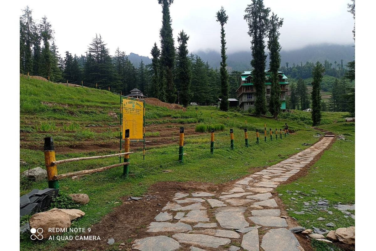 HP’s first bio-diversity park established in Janjehli