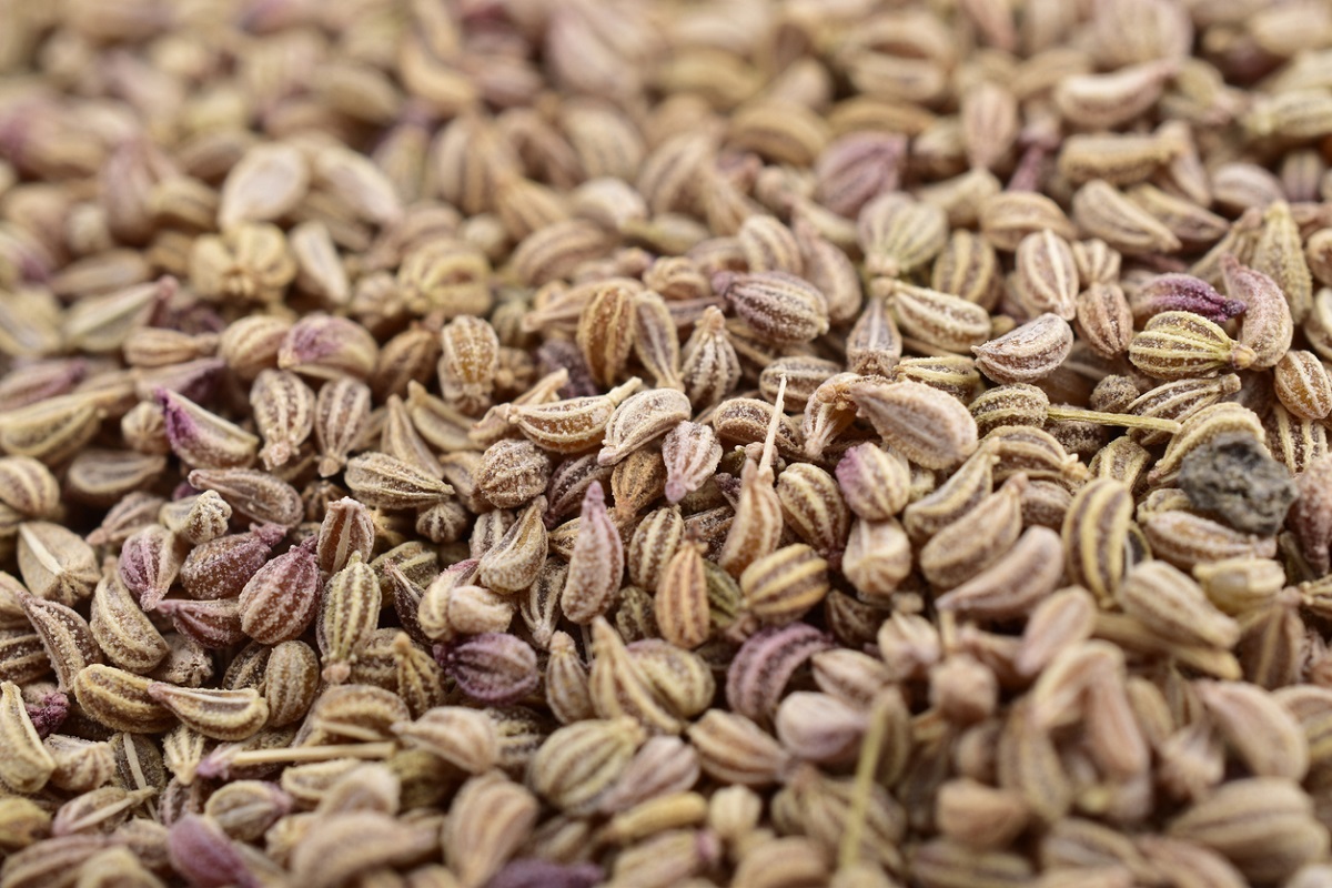 India’s export of Ajwain increases by 158%