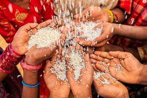 SOP issued for implementation of ‘Rice Fortification’
