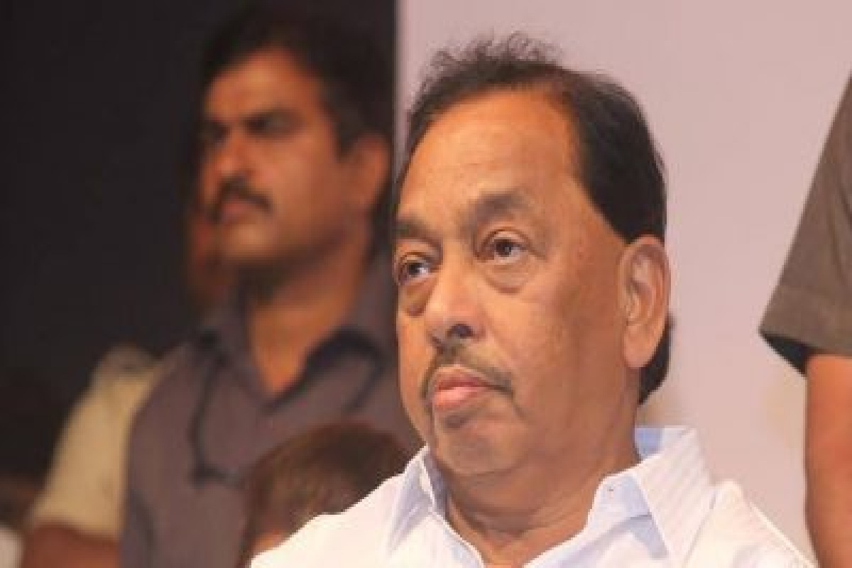 MSMEs are growth accelerators; necessary to strengthen them: Narayan Rane