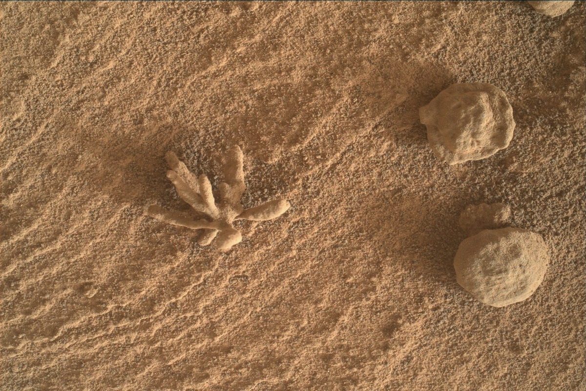 Curiosity rover images tiny ‘mineral flower’ on Mars