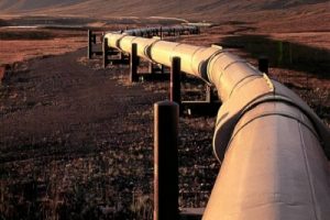 TAPI pipeline in Afghanistan to resume soon: Taliban