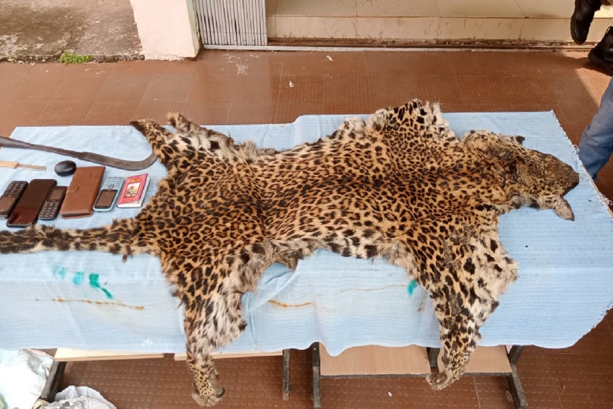 Odisha: Leopard skins seized, three arrested