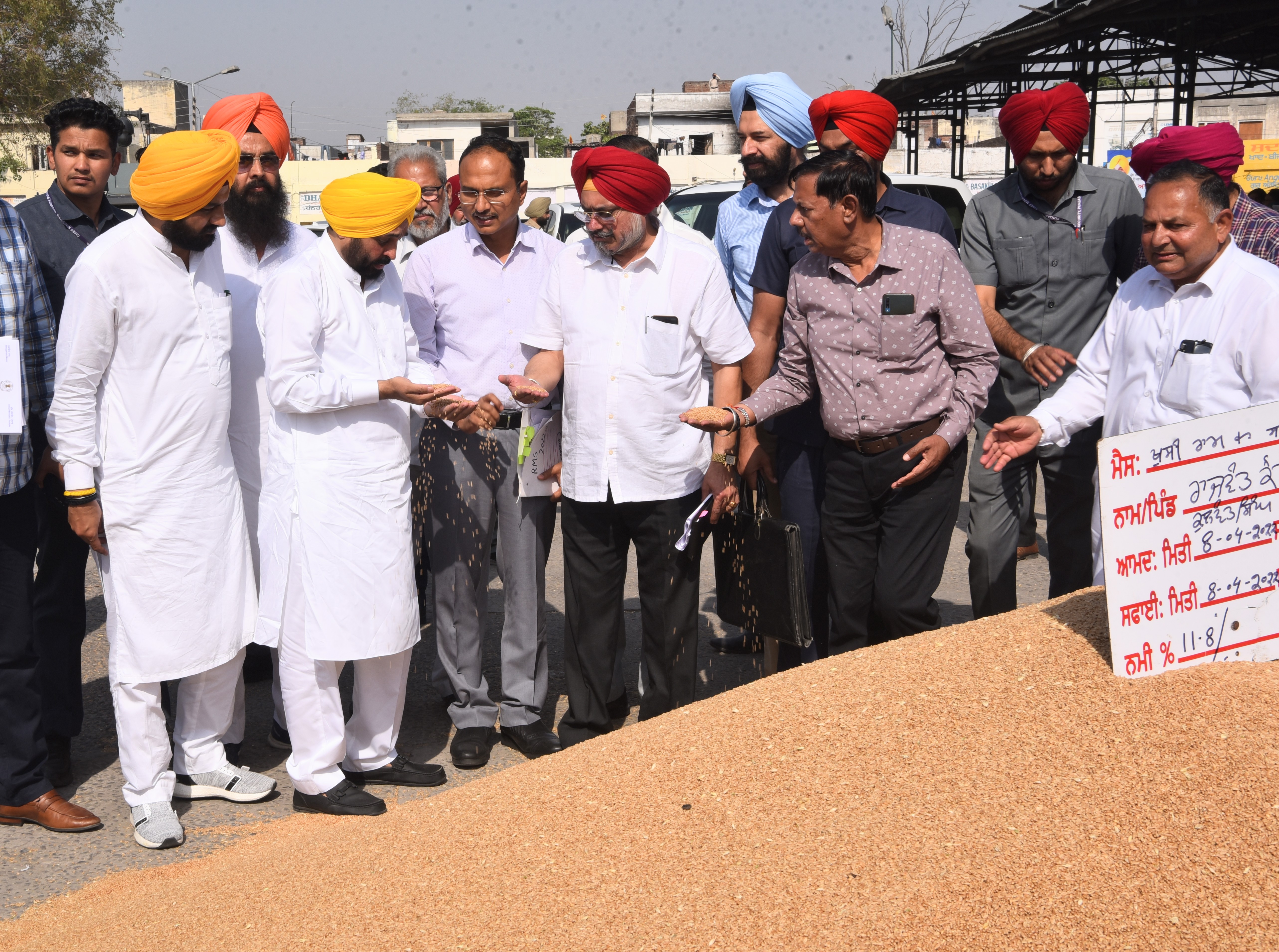 Wheat procurement breaks five year record in Punjab