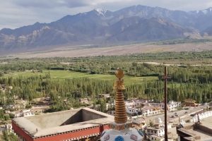Ladakh to plug Kashmir, HP drug smuggling routes