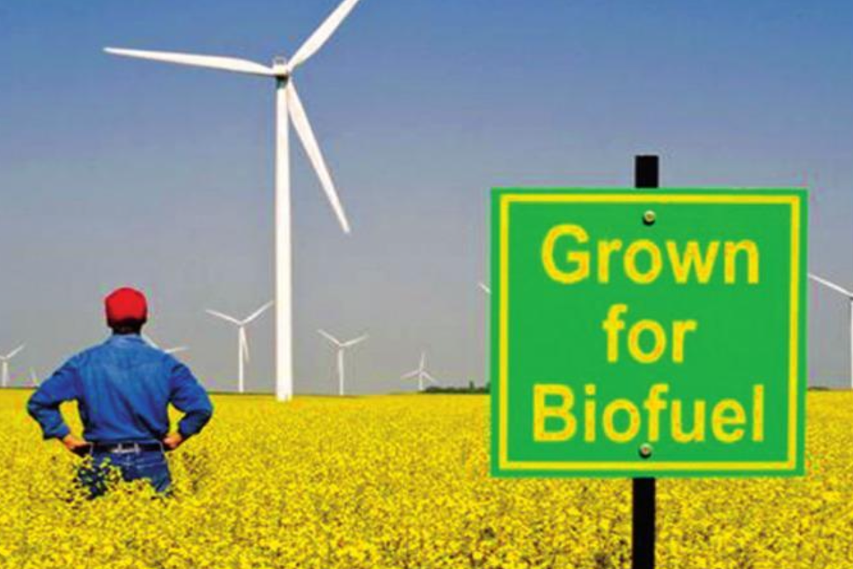 Challenges in use of biofuels