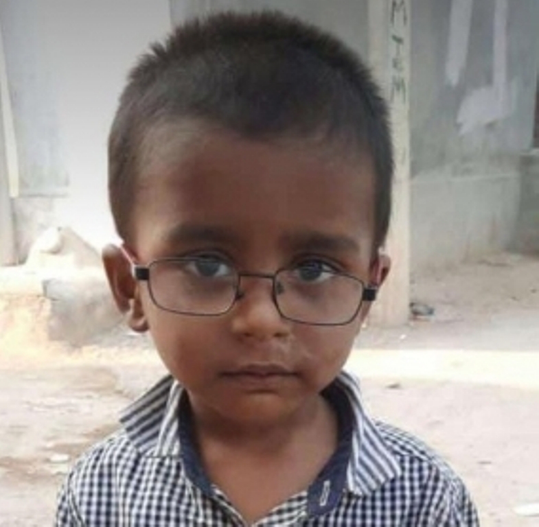 Stray dogs maul 2-year-old to death in Hyderabad