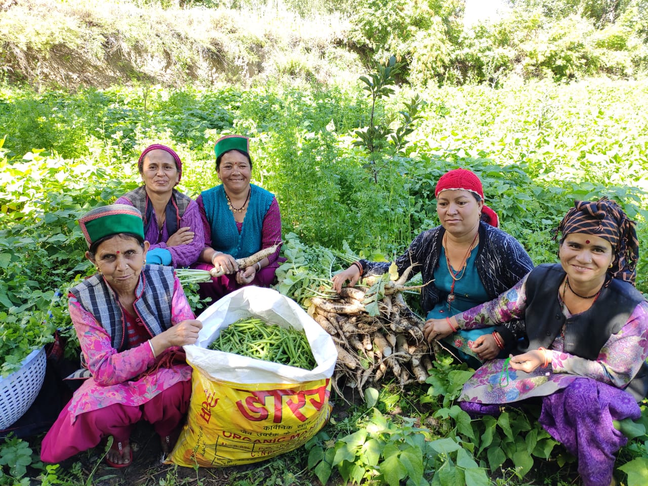 Empowering Women through Natural Farming
