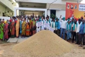 Telangana farmers dump paddy in front of BJP MP’s house
