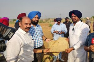 Punjab govt frees encroachment from 29 acres of panchayat land in Mohali