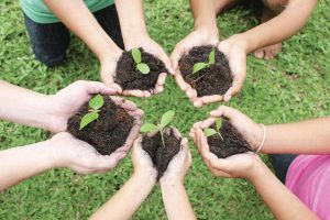 Teachers, students lend a helping hand in organic farming at school
