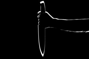 Andhra woman village volunteer stabbed to death