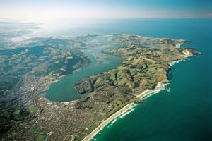Sea levels rising twice as fast in New Zealand