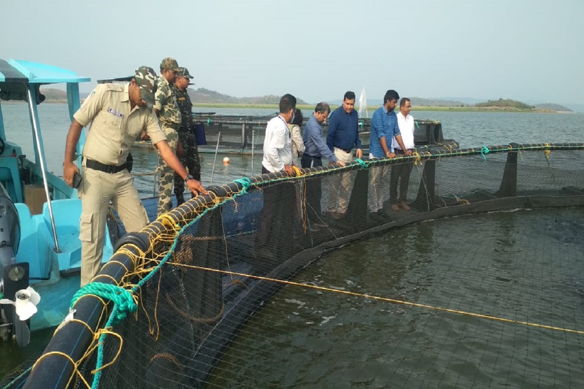 Cage fish culture project in Hirakud reservoir tastes success