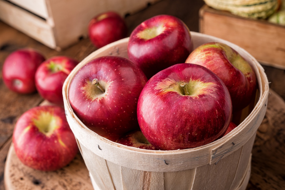 J&K Cong seeks hassle-free movement of apple crop
