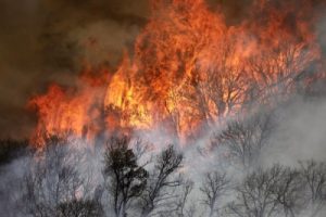 Biden declares New Mexico wildfires ‘a major disaster’