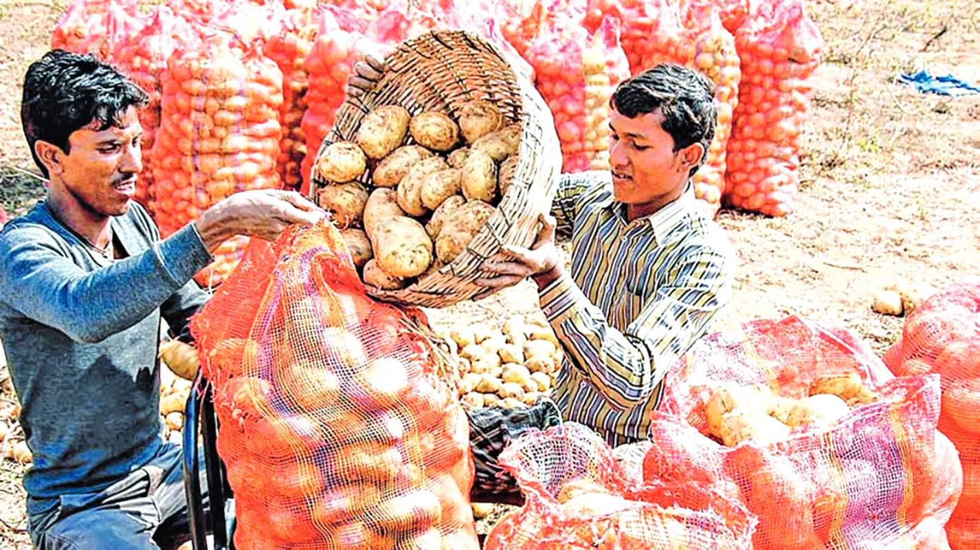 Crop loss: Burdwan potato farmers denied compensation
